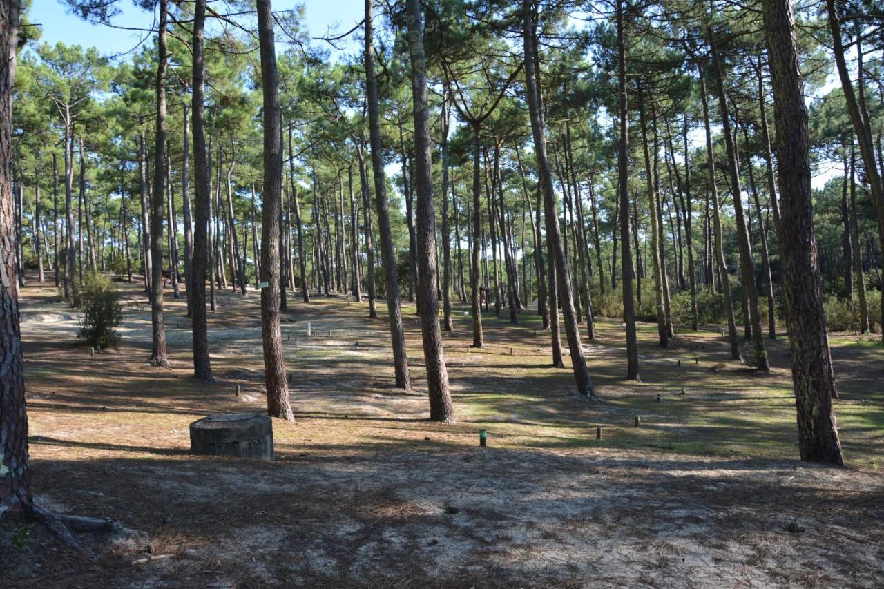Wellness Sport Camping - La Dune Bleue 카르캉 외부 사진